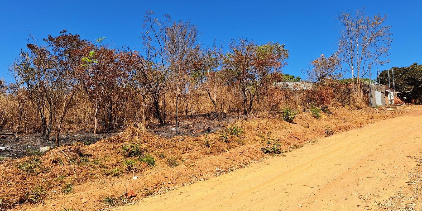 ÁREA COM 1440 M2 - 4 lotes juntos - Foto 5 de 8