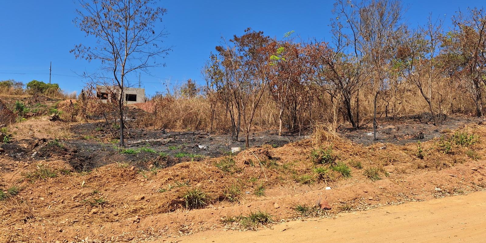ÁREA COM 1440 M2 - 4 lotes juntos - Foto 6 de 8
